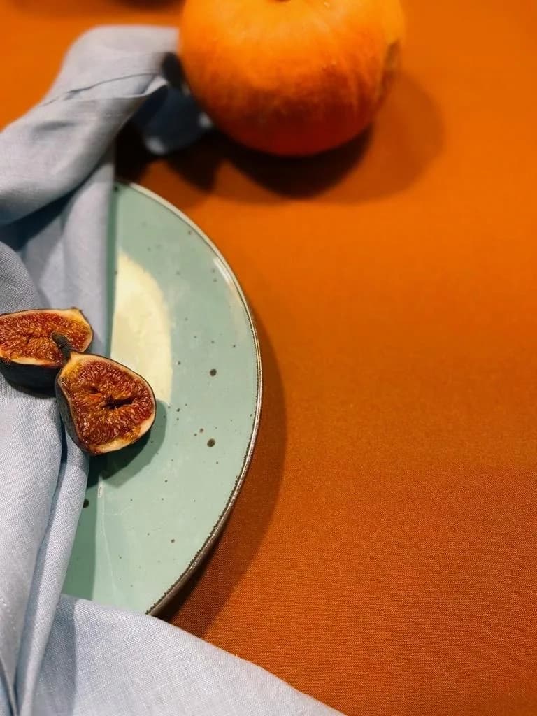 Terracotta rectangular tablecloth rental
